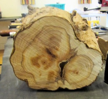End view of the log
